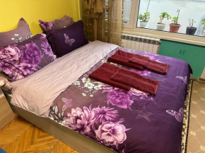 Sleep and fly, The studio apartment, Small bathroom, Balcony